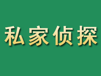 九原市私家正规侦探