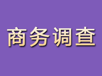 九原商务调查